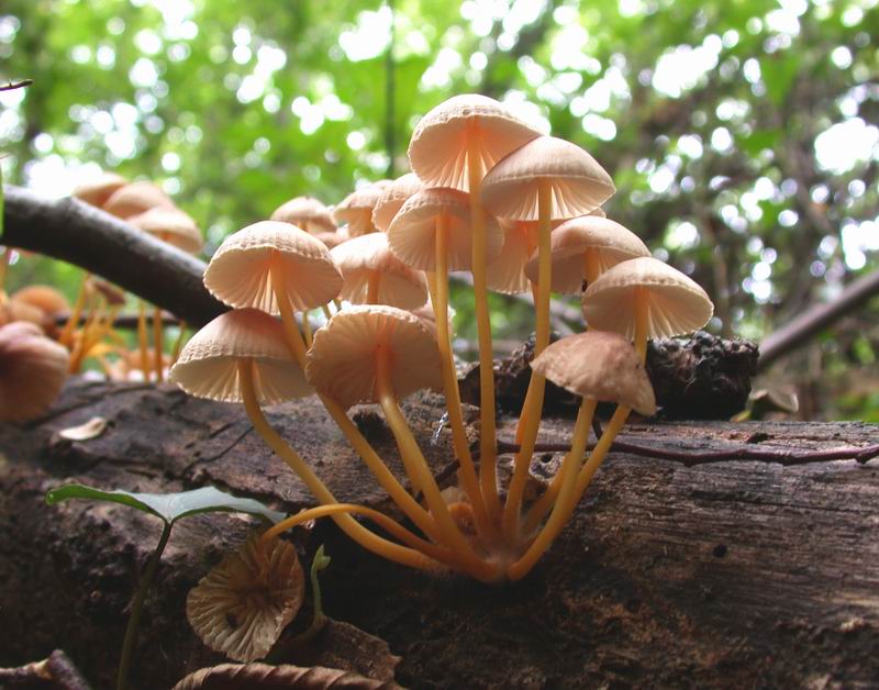 Escursione autunnale in Corsica - 3